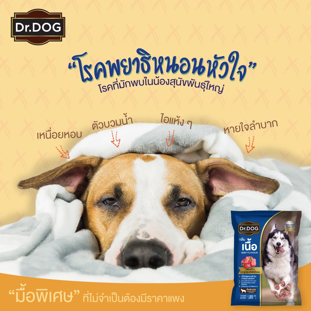 โรคพยาธิหนอนหัวใจ